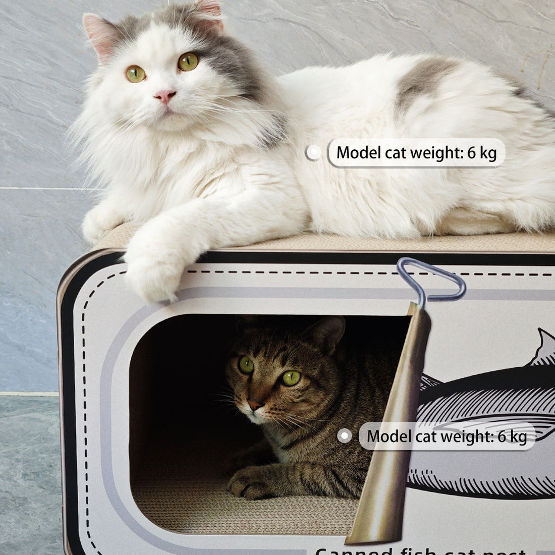 Why Every Cat Needs a Scratcher (And How to Pick the Right One)