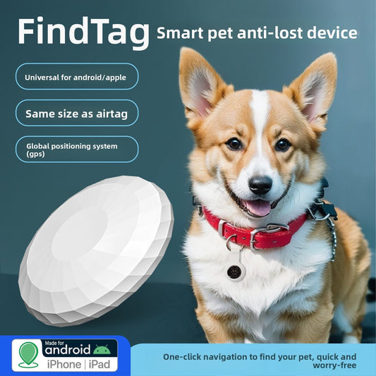 Give Your Pet a Unique Identity: Engraved Collar + GPS Tag