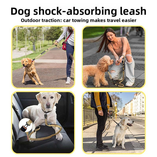 Custom Heavy Duty Reflective Dog Leash with Frog Clip by PawsAtelier