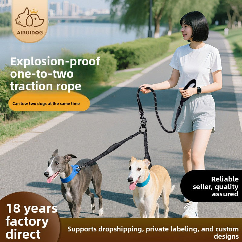 Custom Dual-Dog Leash Coupler - Shock Absorbing No-Tangle Lead by PawsAtelier