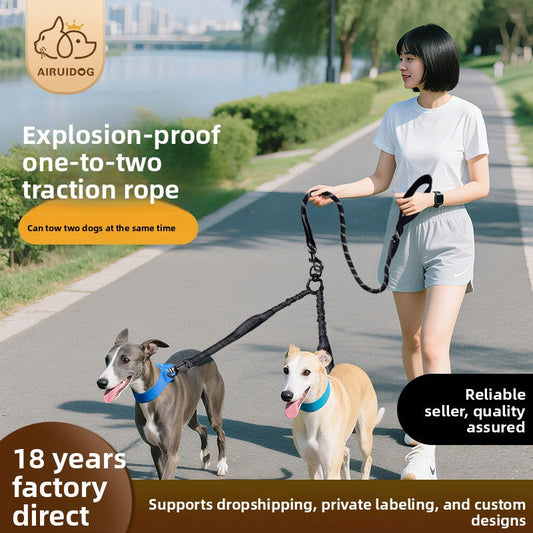 Custom Dual-Dog Leash Coupler - Shock Absorbing No-Tangle Lead by PawsAtelier