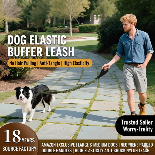 Custom Dual Handle Nylon Dog Leash - Neoprene Padded Bungee Lead