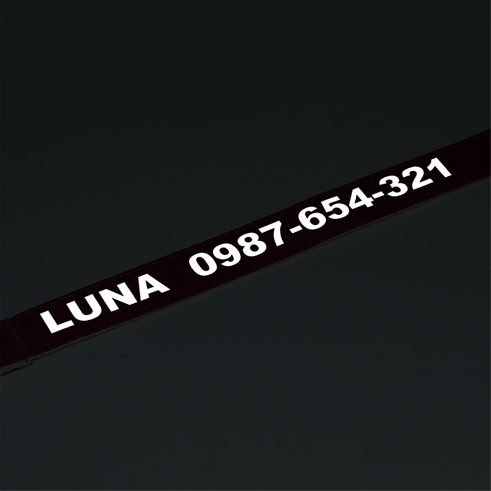 5b2173ac-7d78-4194-a383-bfe4b9ad9877